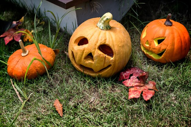 Calabazas de Halloween y decoraciones en el patio trasero.