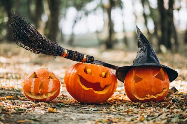 Calabazas de Halloween con escoba en un bosque de otoño