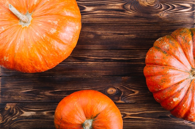 Foto gratuita calabazas para halloween