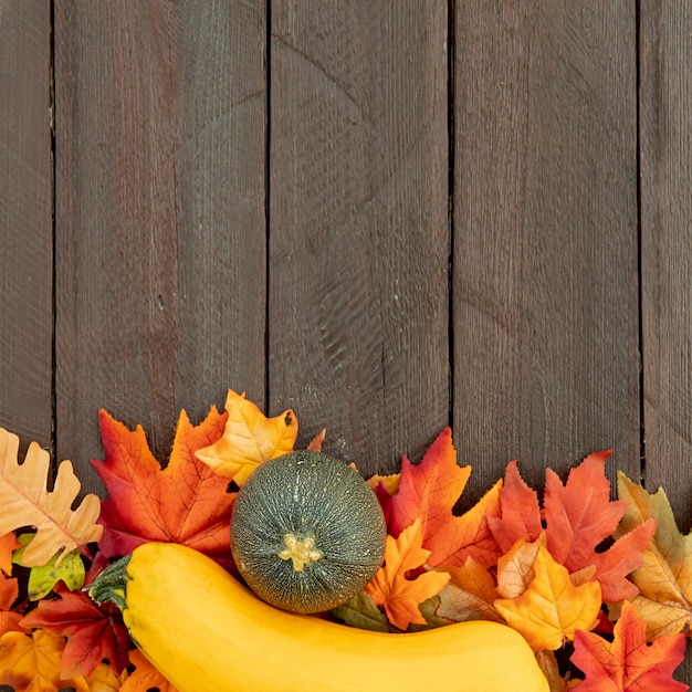 Calabazas en hojas coloridas con espacio de copia