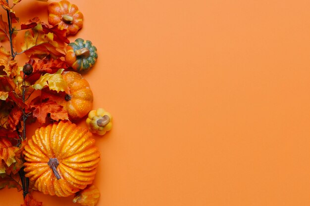 Calabazas y hojas de otoño con espacio de copia a la derecha