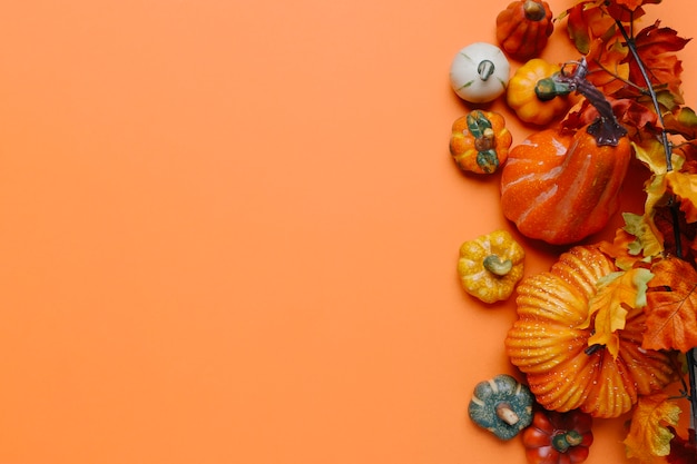 Foto gratuita calabazas y hojas de otoño con espacio de copia a la izquierda