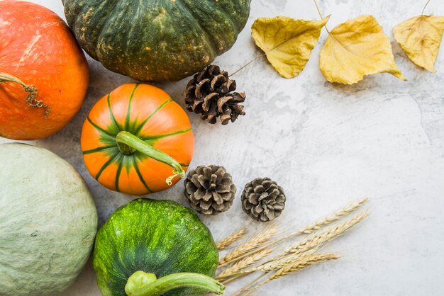 Calabazas en la mesa con folletos amarillos