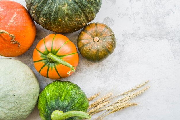 Calabazas en la mesa con trigo