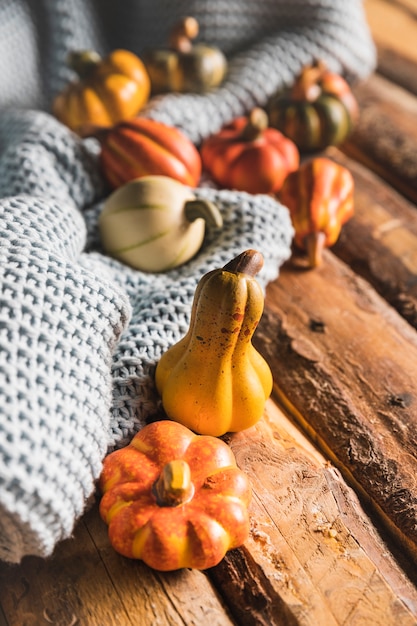 Calabazas pequeñas de alto ángulo en mesa de madera