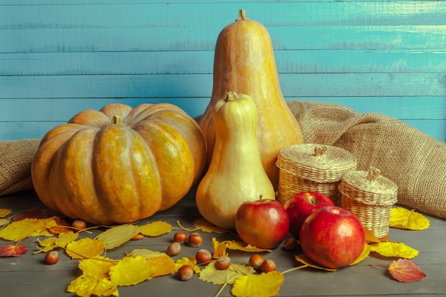 Foto gratuita calabazas en tablero de madera