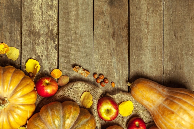 Calabazas en tablero de madera