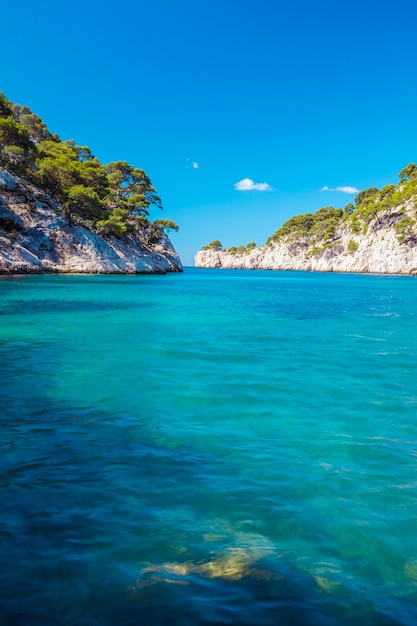 Calanques de Port Pin en Cassis, Francia