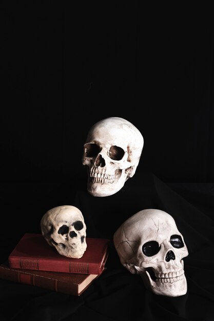 Calaveras en libros con fondo negro