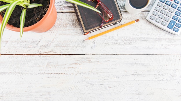 Calculadora y café cerca de papelería y planta