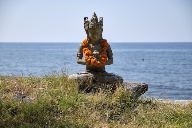 Caléndulas en Bali.