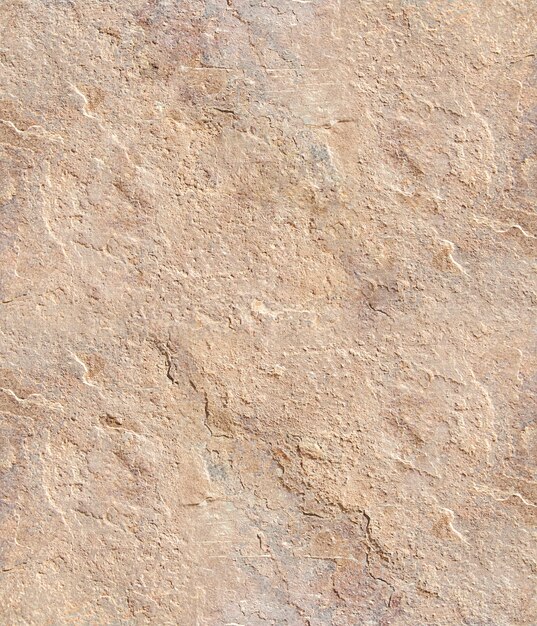 cálida textura de la piedra caliza