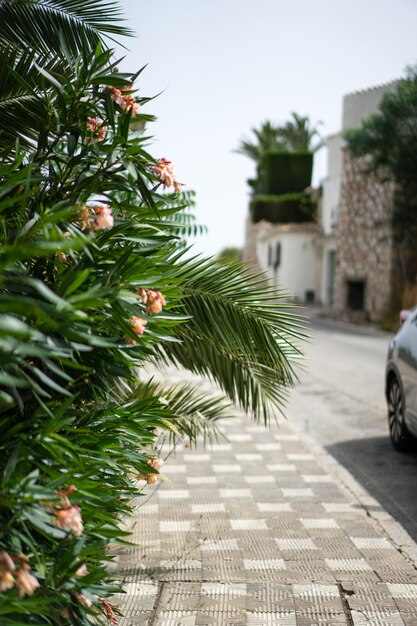 Cálidas calles de un pequeño pueblo del sur de España.