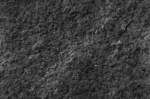 caliza negro textura de la roca