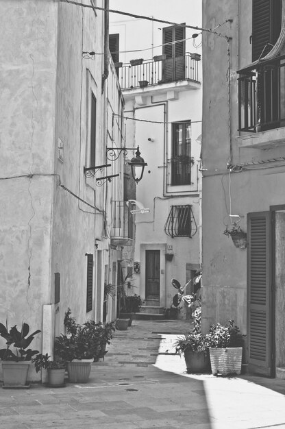 Calle antigua en blanco y negro