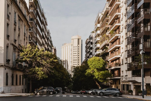 Calle de la ciudad con edificios de hormigón y árboles.