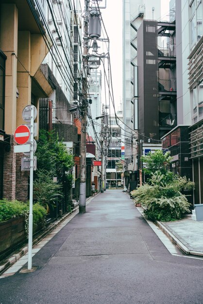 Calle de la ciudad con letreros y árboles.