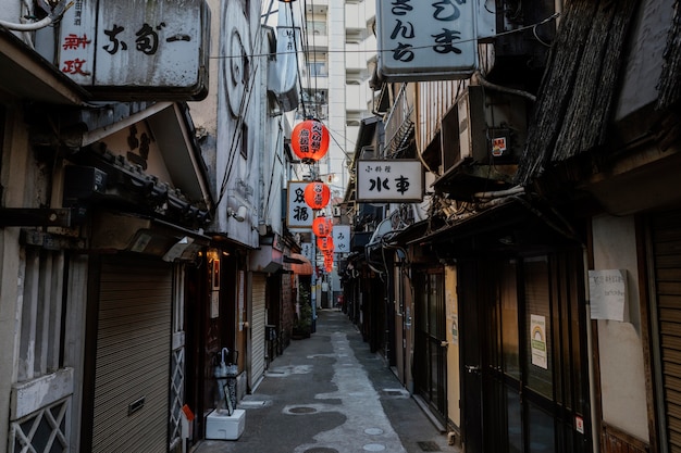 Calle estrecha de Japón con linternas durante el día.