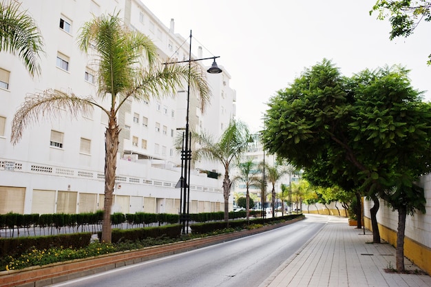 Calles con arquitectura de los edificios de la ciudad turística y vegetación tropical