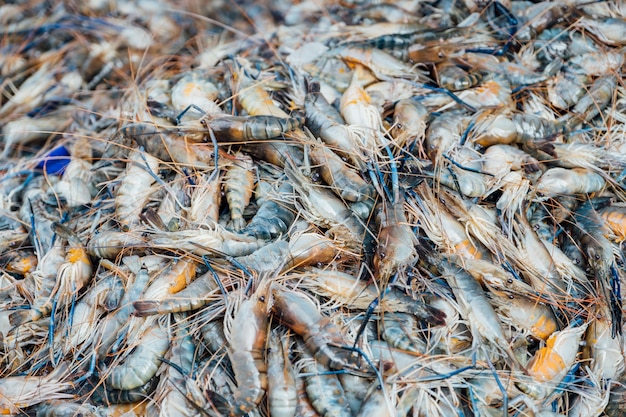 Camarones en el mercado