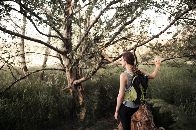 Caminante femenino con mochila de pie cerca del árbol