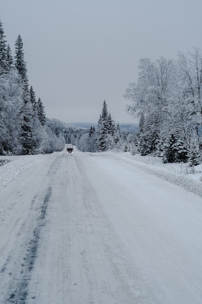 Camino en un bosque cubierto de nieve con un camión y árboles sobre un fondo borroso