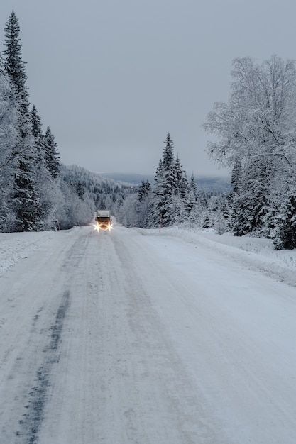 Foto gratuita camino en un bosque cubierto de nieve con un camión y árboles