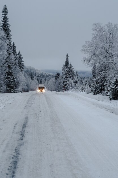 Camino en un bosque cubierto de nieve con un camión y árboles