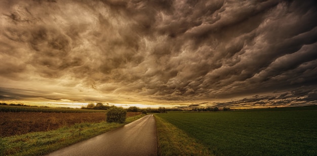 Camino entre campos verdes y marrones