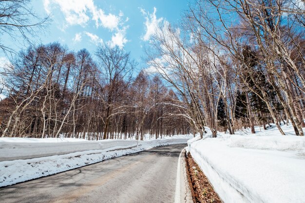 camino por carretera en tiempo de nieve