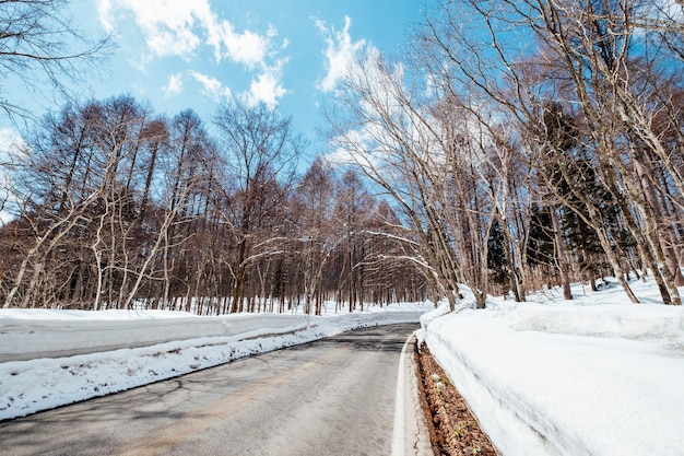 camino por carretera en tiempo de nieve