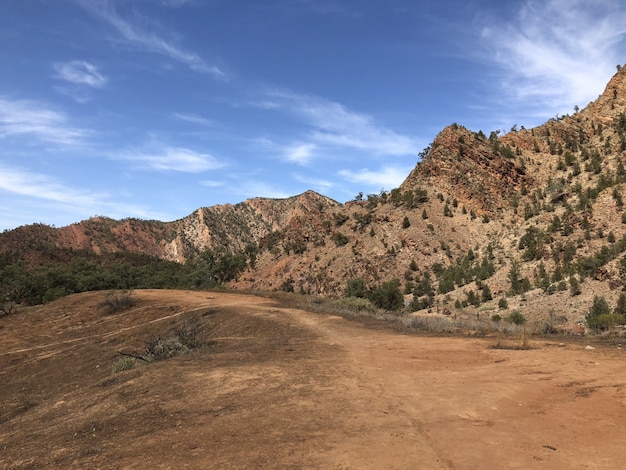 Camino cerca de montañas cubiertas de árboles bajo un cielo azul nublado