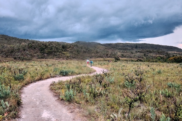 Camino con curvas rodeado de colinas cubiertas de vegetación bajo un cielo nublado