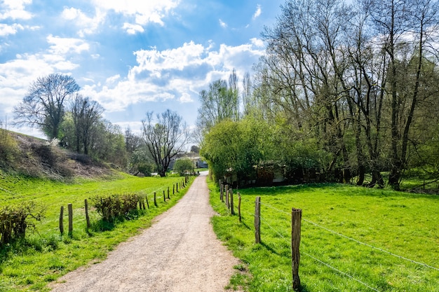 Camino estrecho en el campo rodeado de valle verde