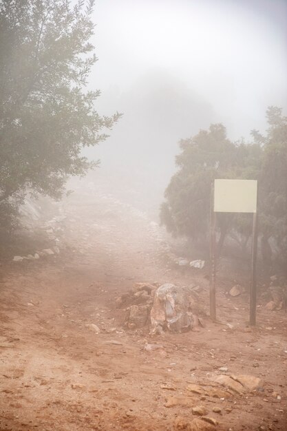 Camino forestal con signo y niebla