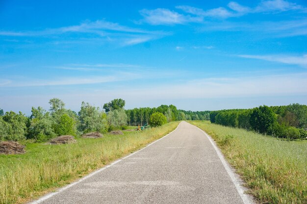 Camino de hormigón rodeado de árboles verdes con un cielo azul en el