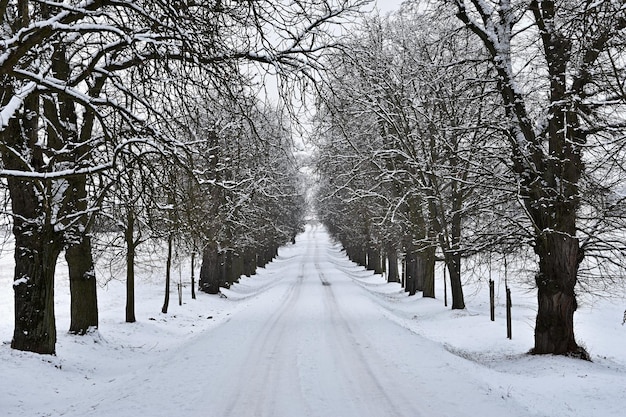 Camino en invierno Camino de montaña cubierto de nieve para un automóvil Concepto para viajar y conducir con seguridad en invierno en automóvil