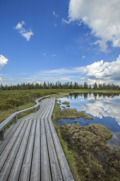 Camino de madera junto al lago Ribnica en Eslovenia