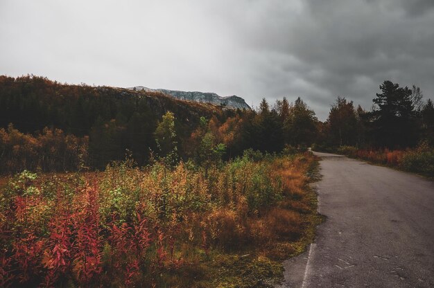 Camino a las montañas escandinavas en el impresionante parque nacional en un sombrío día de otoño.