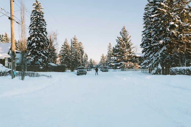 Camino nevado del pueblo en invierno