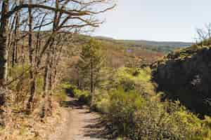 Foto gratuita camino en paisaje montuoso