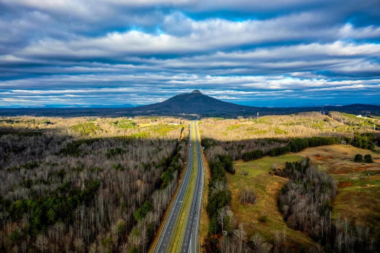 Foto gratuito camino a pilot mountain en carolina del norte en un nublado día de invierno