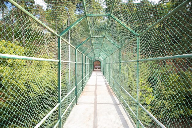 Camino de puente para turistas rodeado de rejilla verde. Puente o camino de hormigón de seguridad para cruzar río o lago. Concepto de turismo, aventura y vacaciones de verano.