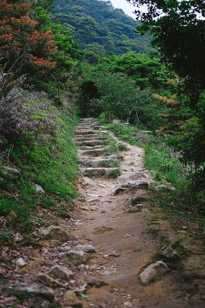 Un camino que conduce a las montañas verdes.