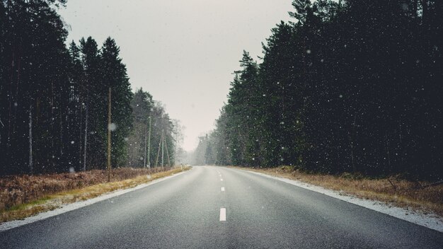 Camino rodeado de bosques y pasto seco cubierto de copos de nieve durante el invierno