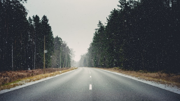 Camino rodeado de bosques y pasto seco cubierto de copos de nieve durante el invierno