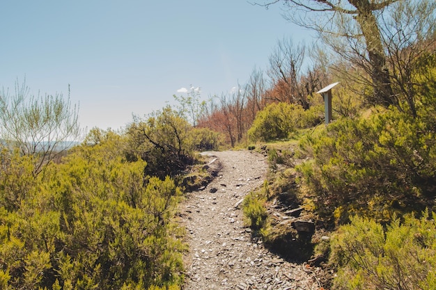 Camino de senderismo