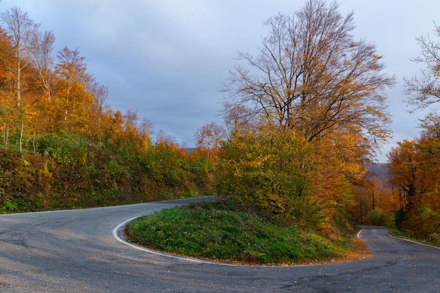 Camino sinuoso en la montaña Medvednica en Zagreb, Croacia en otoño