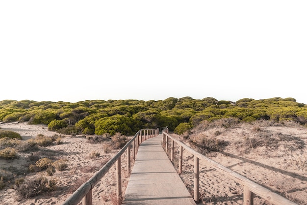 Camino de tablones de madera en Punta Umbría