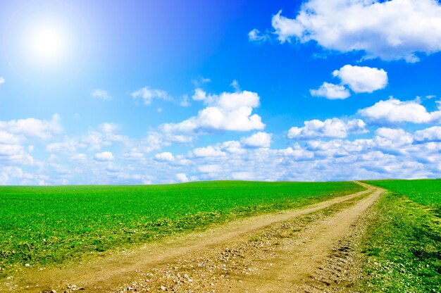 Camino de tierra con un día nublado